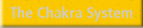 The Chakra System