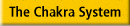 The Chakra System